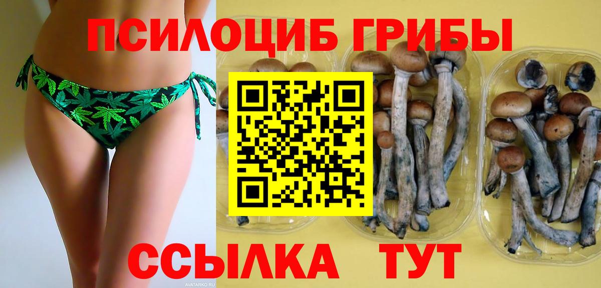 Аша  Галлюциногенные грибы Magic Shrooms  Вход с VPN 