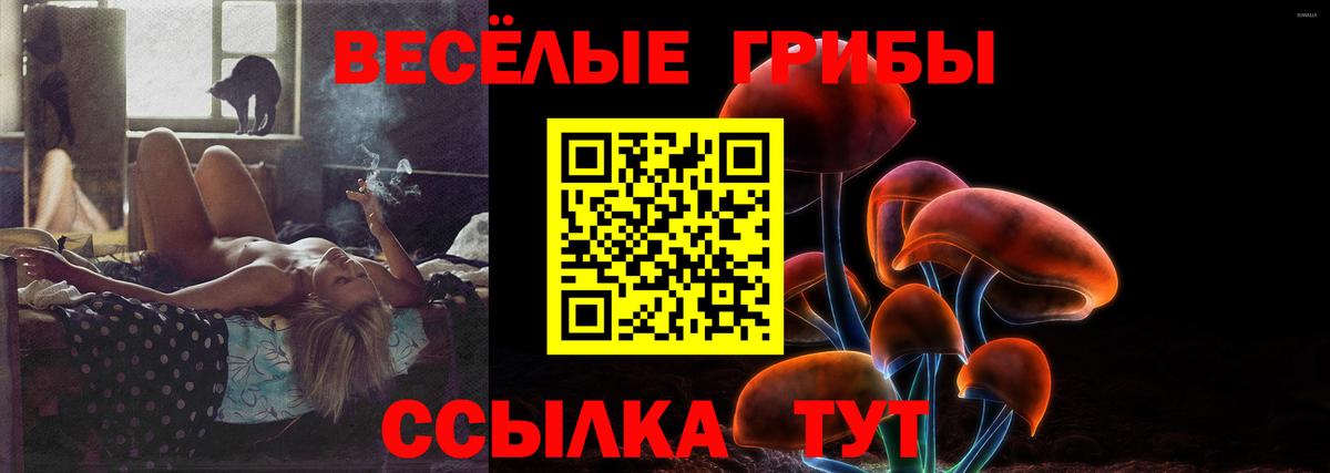 Псилоцибиновые грибы мицелий Аша
