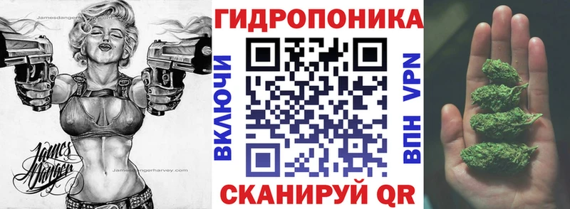 Каннабис AK-47  Аша 