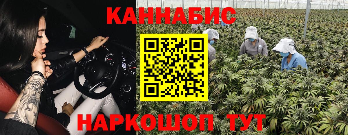 МАРИХУАНА тримм  Вход с VPN  Каннабис OG Kush  Аша  Шишки марихуана ГИДРОПОН 